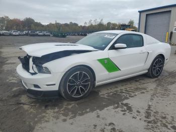  Salvage Ford Mustang