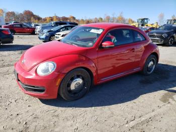  Salvage Volkswagen Beetle