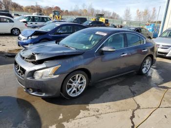  Salvage Nissan Maxima