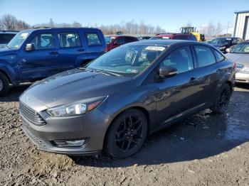  Salvage Ford Focus