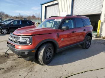  Salvage Ford Bronco