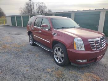  Salvage Cadillac Escalade