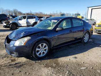  Salvage Nissan Maxima