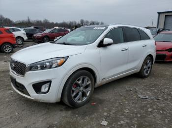  Salvage Kia Sorento