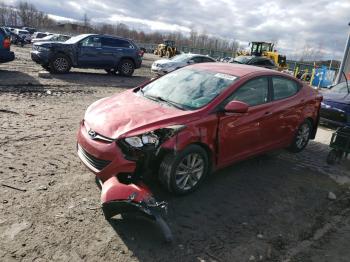  Salvage Hyundai ELANTRA