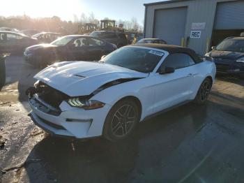  Salvage Ford Mustang