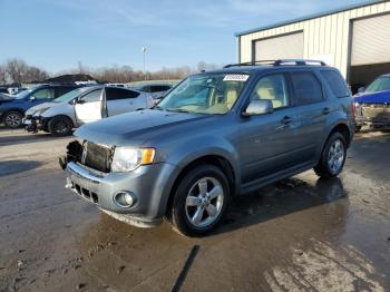  Salvage Ford Escape