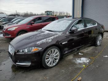  Salvage Jaguar XF