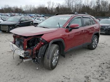  Salvage Toyota RAV4