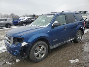  Salvage Ford Escape