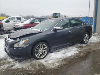  Salvage Nissan Maxima