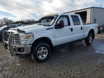  Salvage Ford F-250