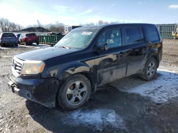  Salvage Honda Pilot