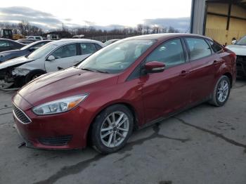  Salvage Ford Focus