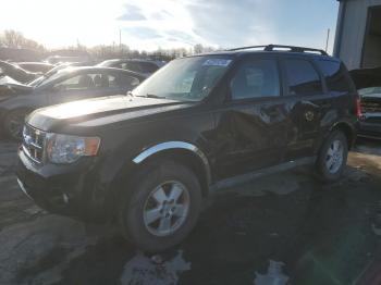  Salvage Ford Escape