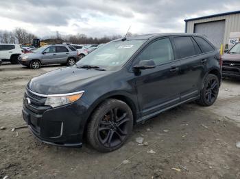  Salvage Ford Edge