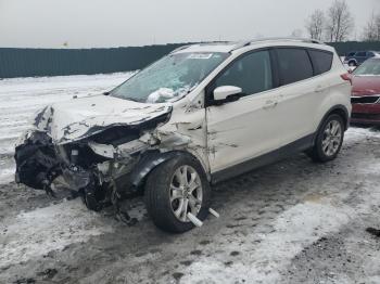  Salvage Ford Escape