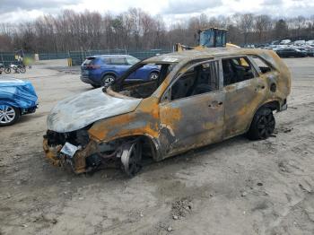 Salvage Kia Sorento