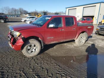  Salvage Suzuki Equator