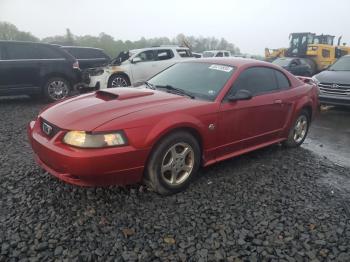  Salvage Ford Mustang