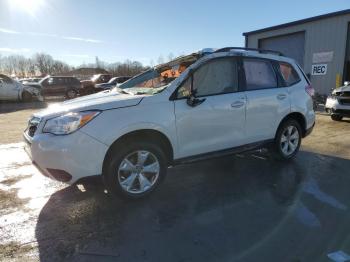  Salvage Subaru Forester