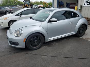  Salvage Volkswagen Beetle
