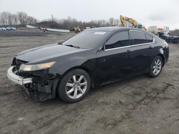  Salvage Acura TL