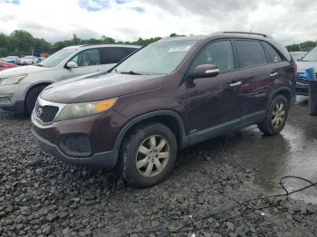  Salvage Kia Sorento
