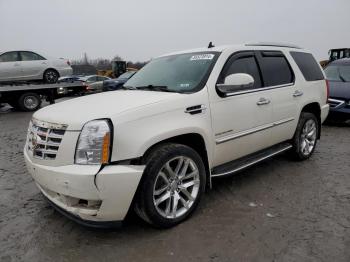  Salvage Cadillac Escalade