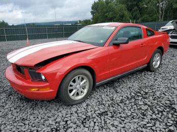  Salvage Ford Mustang