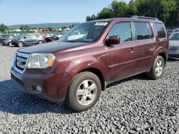  Salvage Honda Pilot