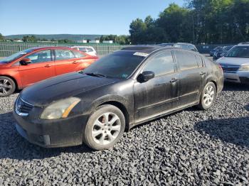  Salvage Nissan Maxima