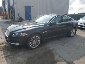  Salvage Jaguar XF