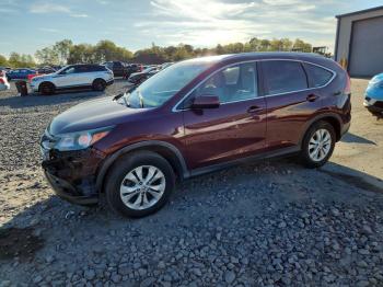  Salvage Honda Crv