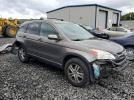 Honda Crv Exl Image 4