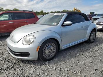  Salvage Volkswagen Beetle