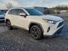 Toyota RAV4 Xle Image 5
