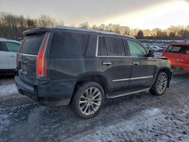 Cadillac Escalade Luxury Image 2