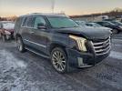 Cadillac Escalade Luxury Image 6