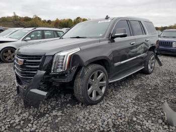  Salvage Cadillac Escalade