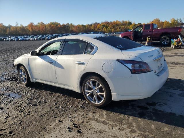 Nissan Maxima S Image 10