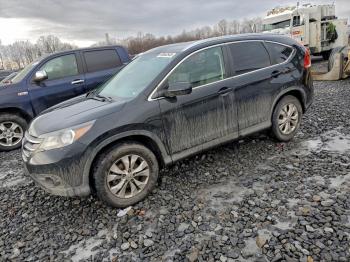  Salvage Honda Crv